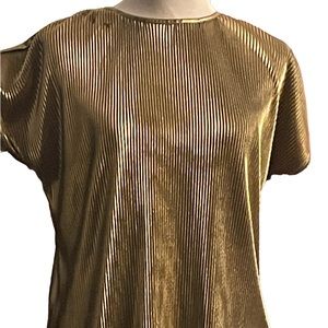 Metallic Copy.Cats top.